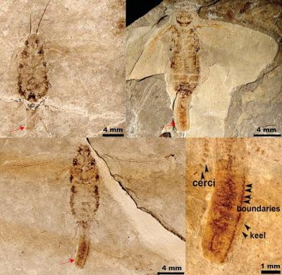 Una mamá muy curiosa