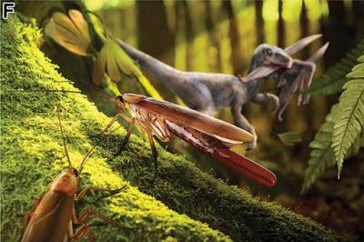 Una mamá muy curiosa