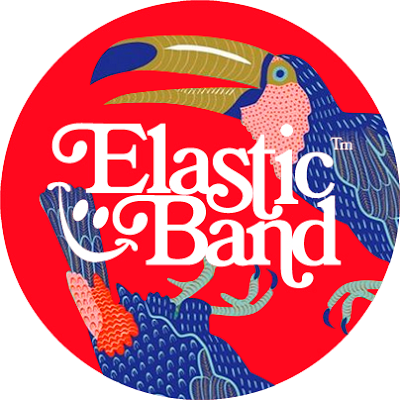 [Noticia] Elastic Band avanzan dos canciones de Fun Fun Fun, su nuevo disco
