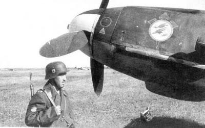 Escuadrillas azules: Españoles en la Luftwaffe