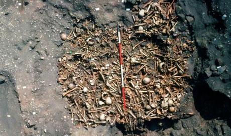 La fosa común de Repton refleja la feroz conquista vikinga de los reinos anglosajones a finales del siglo IX
