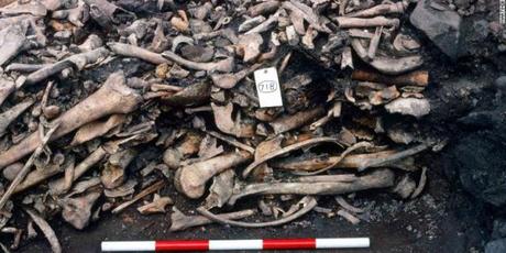 La fosa común de Repton refleja la feroz conquista vikinga de los reinos anglosajones a finales del siglo IX La fosa común de Repton refleja la feroz conquista vikinga de los reinos anglosajones a finales del siglo IX
