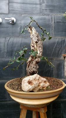 Un paso mas , unos cuantos menos Un paso mas , unos cuantos menos