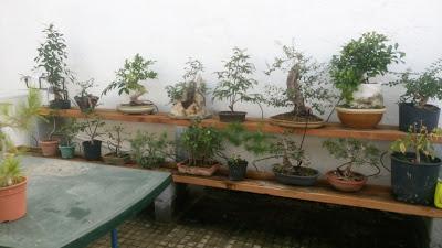 Un paso mas , unos cuantos menos Un paso mas , unos cuantos menos