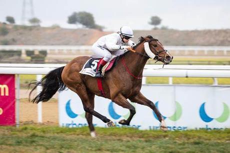 Hipodamo de Mileto de Naniná atraerá los focos este domingo en el GHA con entrada, parking y bus gratuitos.