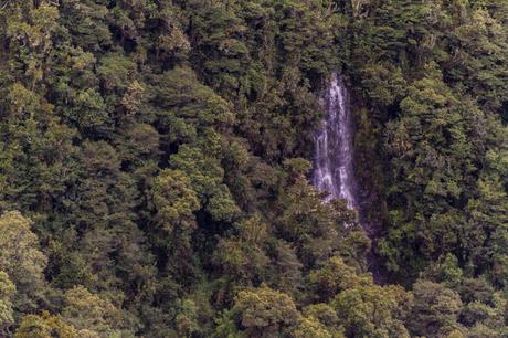 Parque Nacional Cayambe Coca: Lagunas y cascadas