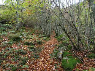 Tarna-El Tabayón del Mongayu-Mongayu-La Vega Pociellu-L' Ablanosa