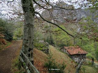 Tarna-El Tabayón del Mongayu-Mongayu-La Vega Pociellu-L' Ablanosa