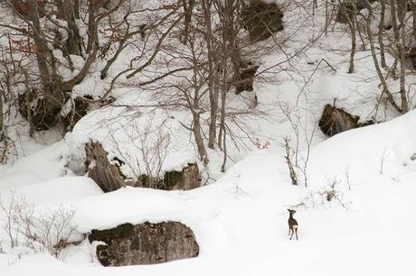 Nieve dura. Nieve blanda