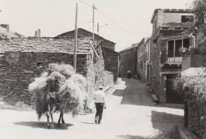 Cambios de nombre en los pueblos de la Sierra Norte de Guadalajara Cambios de nombre en los pueblos de la Sierra Norte de Guadalajara