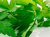 Mira Para Sirve Tomar Perejil Preferentemente Ayunas