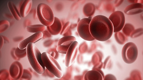 Mira Para Que Sirve Tomar El Perejil Preferentemente En Ayunas Mira Para Que Sirve Tomar El Perejil Preferentemente En Ayunas