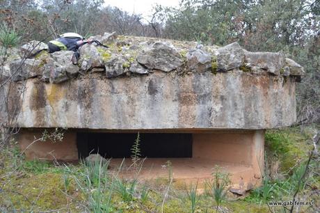 Pegotes de Cámara