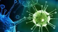 Cómo la  Influenza Afecta el Cuerpo y la Repuesta del Sistema Inmunológico