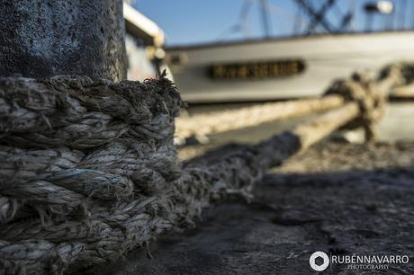 Qué ver en Marsella