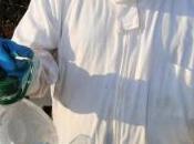 apicultores afrontan otra temporada lucha contra temida avispa velutina