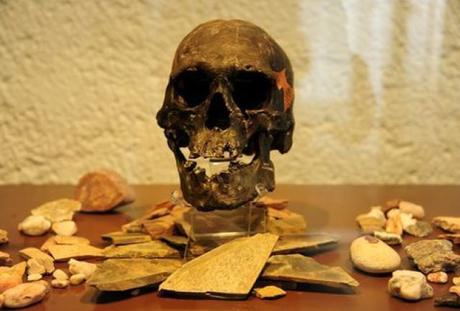 Exhiben el cráneo del Hombre de Chimalhuacán de hace 10.500 años Exhiben el cráneo del Hombre de Chimalhuacán de hace 10.500 años