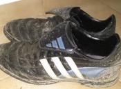 partidos categoría senior