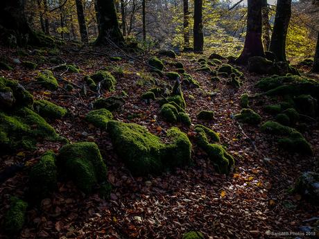 El rincón de los duendes