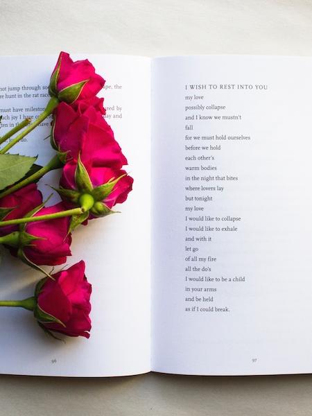 Que No Te Den Lecciones de Amor Que No Te Den Lecciones de Amor