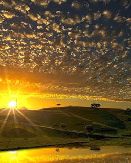 UN DÍA TE PERDÍ...