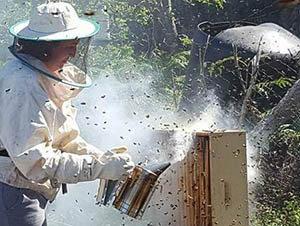 LA JOVEN MARÍA DOLORES RODRÍGUEZ RECIBIÓ UNA AYUDA PARA MONTAR UNA GRANJA APÍCOLA