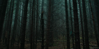 El ritual (The ritual, David Bruckner, 2017. GB)