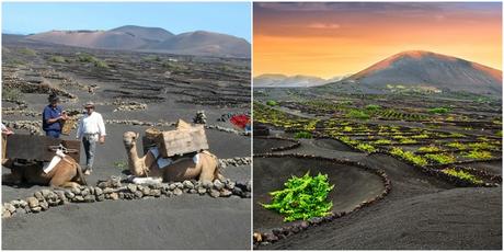 Lanzarote: ¿Qué ver y visitar?