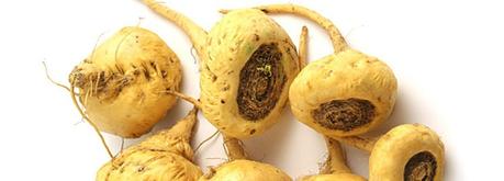 Guía completa de superalimentos Maca andina