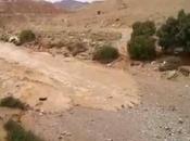 Momento renace desierto Israel (Vídeo)