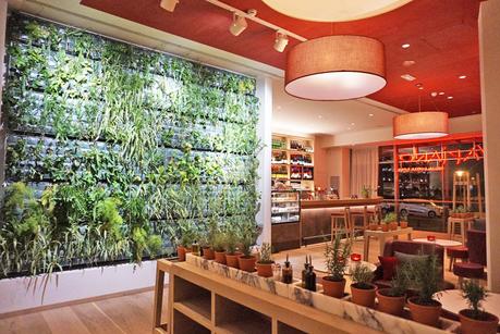 Vapiano Vapiano