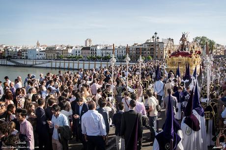 DOMINGO DE RAMOS 2017