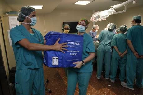 ANTE LA DUDA, TODOS DONANTES