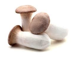CROQUETAS DE BOLETUS CON JAMON CROQUETAS DE BOLETUS CON JAMON