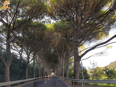 Eslovenia en 4 días: Qué ver en Piran?