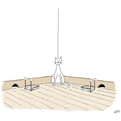 [HUMOR EN CÁPSULAS] Para hoy jueves, 15 de febrero