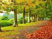 grandes arrepentimientos tienen personas antes morir