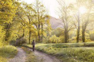 Algunas de las maravillosas citas que Eduardo Galeano escribió para hacernos reflexionar eduardo-galeano