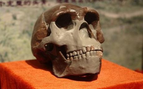  HALLAZGOS DE FÓSILES EN CHINA REPLANTEAN LA EVOLUCIÓN HUMANA 42720B03-9849-44DB-8892BFA7A69DF064