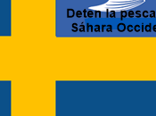 Acuerdo pesca UE-Marruecos: Suecia opone renegociación