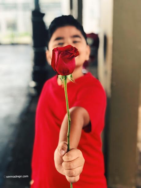 niño con una rosa