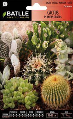 Alíate con las plantas para atraer buen rollo a tu hogar Cactus Plantas Crasas Variadas