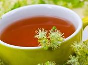 Beneficios propiedades famoso tila