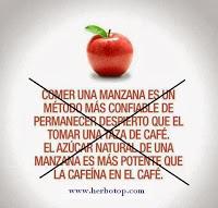 Manzana y café para no dormir Manzana y café para no dormir