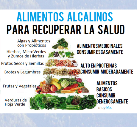 Alimentos alcalinos