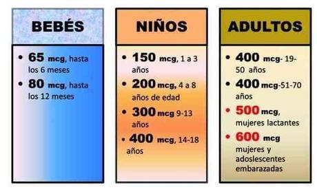 Cantidad diaria recomendada de ácido fólico