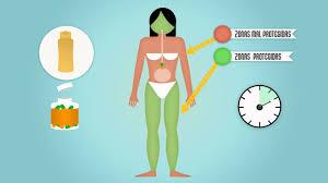 Cápsulas Fernblock para protegerse del sol o para broncearse. Resultado de imagen de fernblock