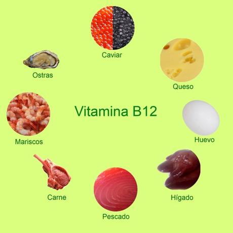 Alimentos que contienen vitamina B12. Anemia