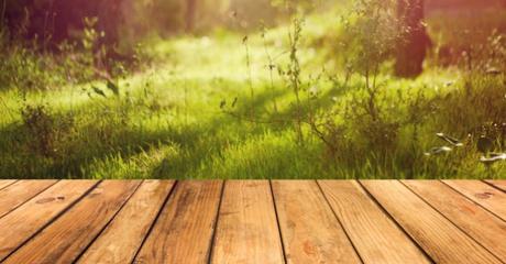 Vivir en el campo Vivir en el campo