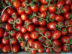 3. I pomodori